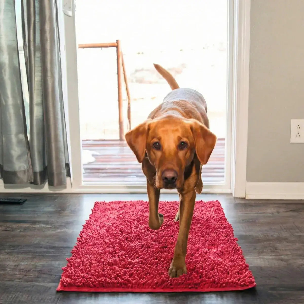 Tapis Original Clean’Pattes™