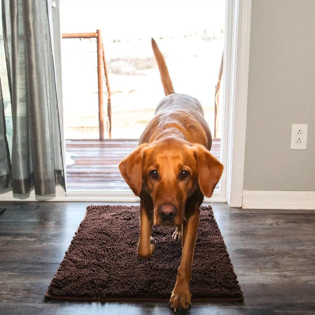 Tapis Original Clean’Pattes™