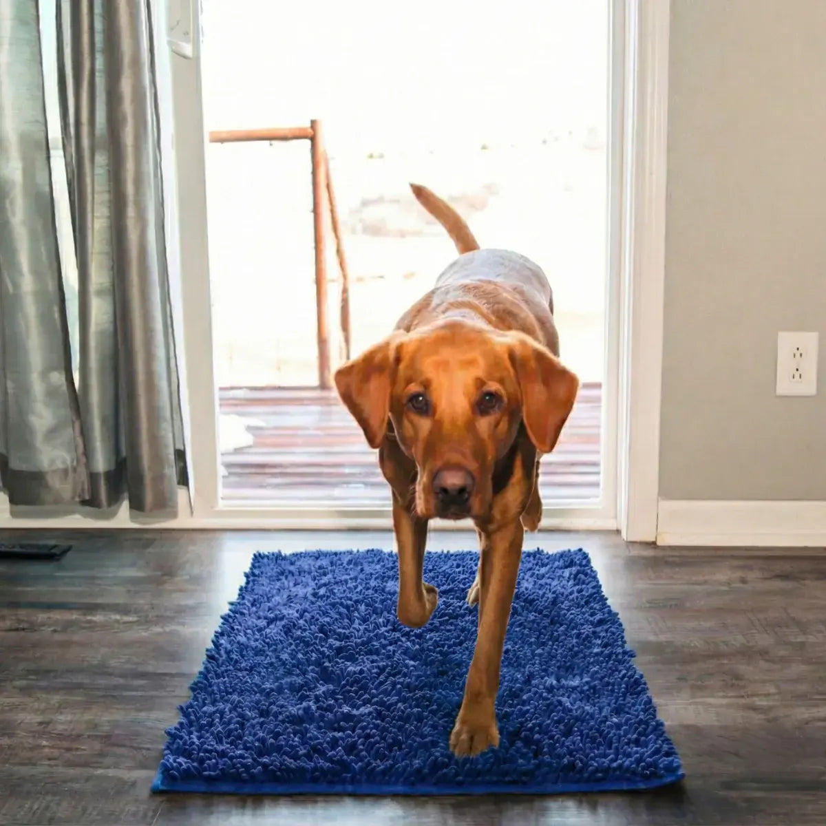 Tapis Original Clean’Pattes™