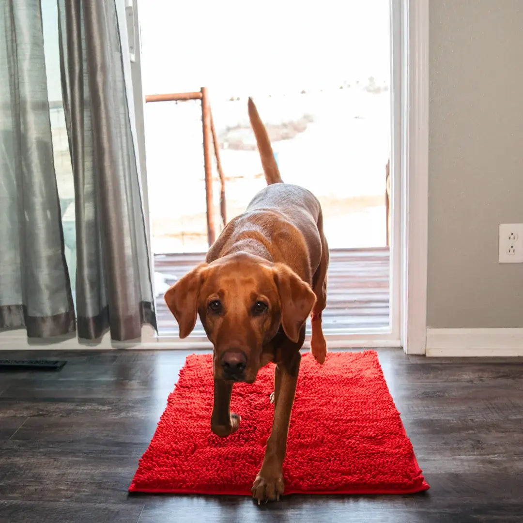 Tapis Original Clean’Pattes™