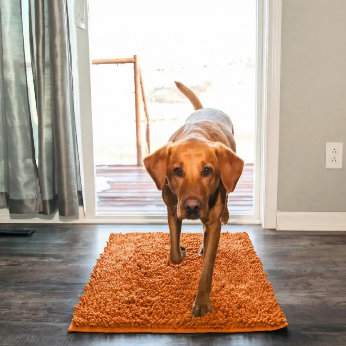 Tapis Original Clean’Pattes™