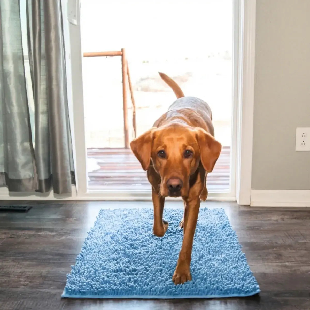 Tapis Original Clean’Pattes™