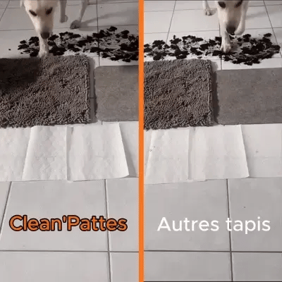 Tapis Original Clean’Pattes™