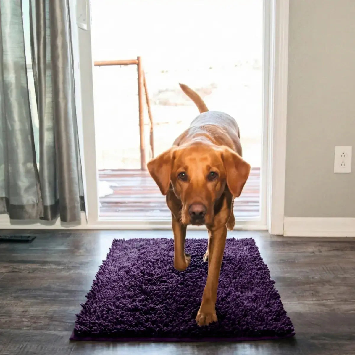 Tapis Original Clean’Pattes™